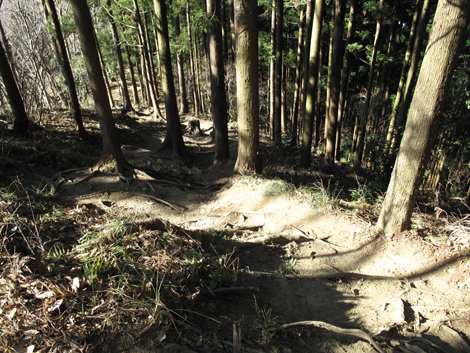 20170126hike (63)